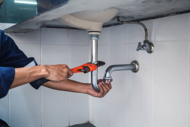 Best Plumbing Services Near Me  in Au Sable, MI